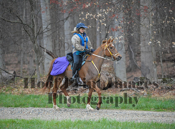 Foxcatcher(4-9-16)0178