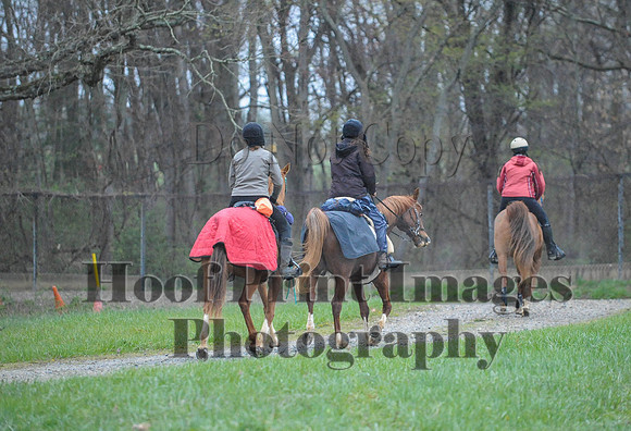 Foxcatcher(4-9-16)0247