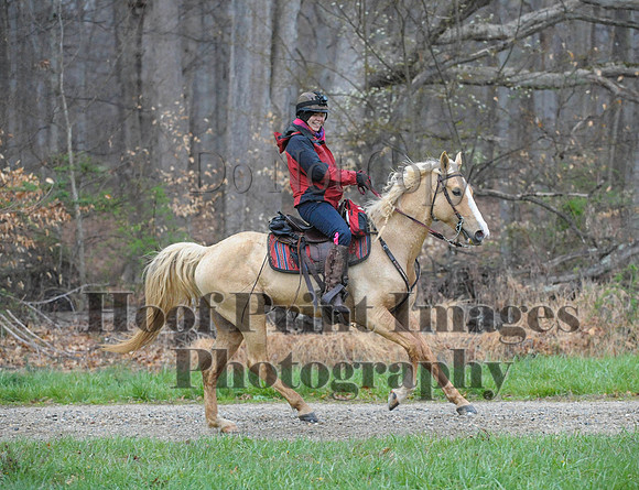 Foxcatcher(4-9-16)0290