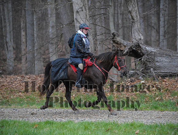 Foxcatcher(4-9-16)0436