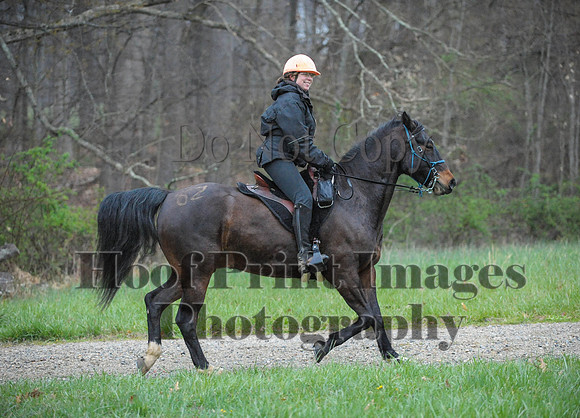 Foxcatcher(4-9-16)0194