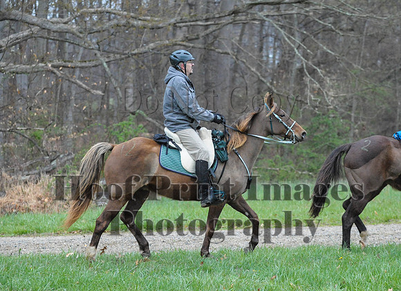 Foxcatcher(4-9-16)0320