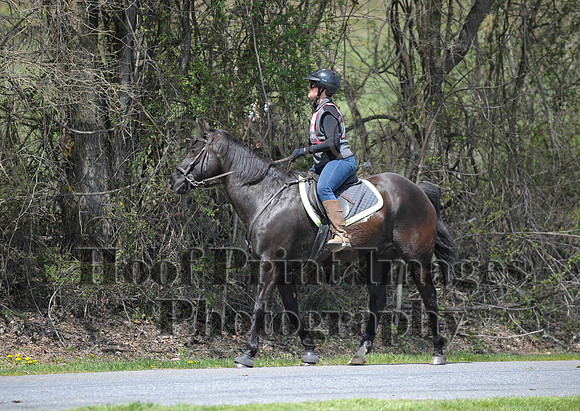 CheshirePC(4-16-16)0372