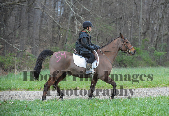 Foxcatcher(4-9-16)0350