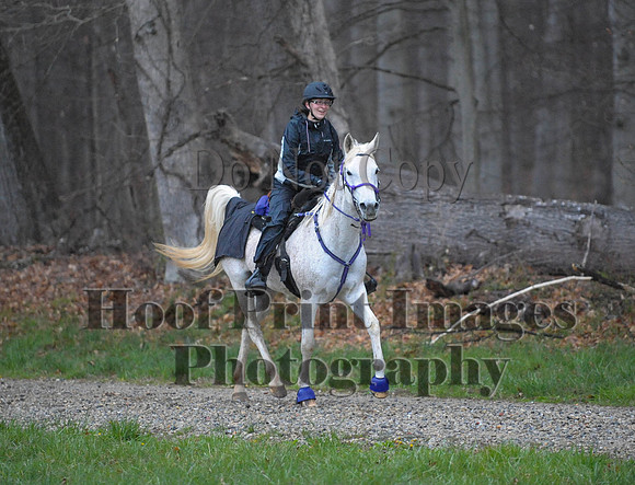 Foxcatcher(4-9-16)0050