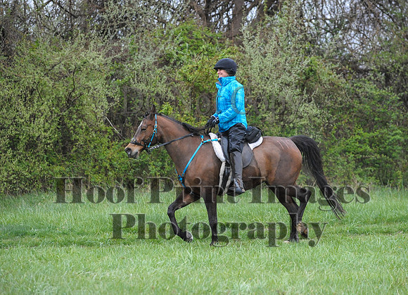 Foxcatcher(4-9-16)0533