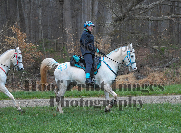 Foxcatcher(4-9-16)0101