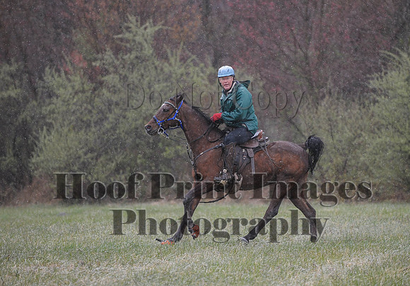Foxcatcher(4-9-16)0908