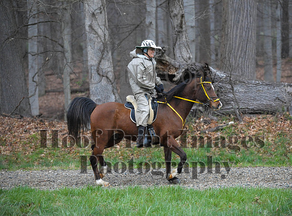 Foxcatcher(4-9-16)0397