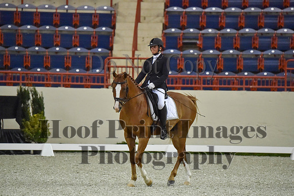 CWdressageI(8-20-16)0526
