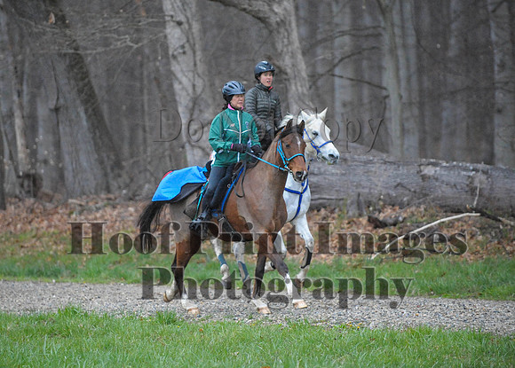 Foxcatcher(4-9-16)0122