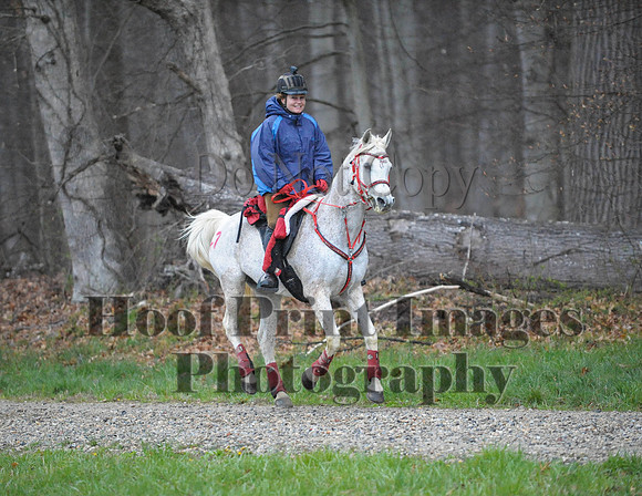 Foxcatcher(4-9-16)0142