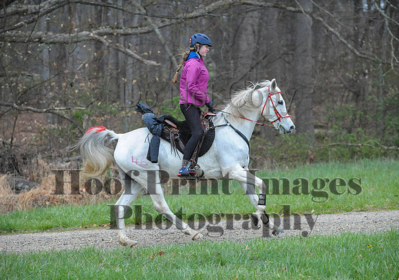 Foxcatcher(4-9-16)0133