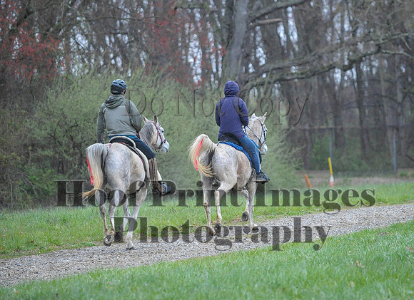 Foxcatcher(4-9-16)0476