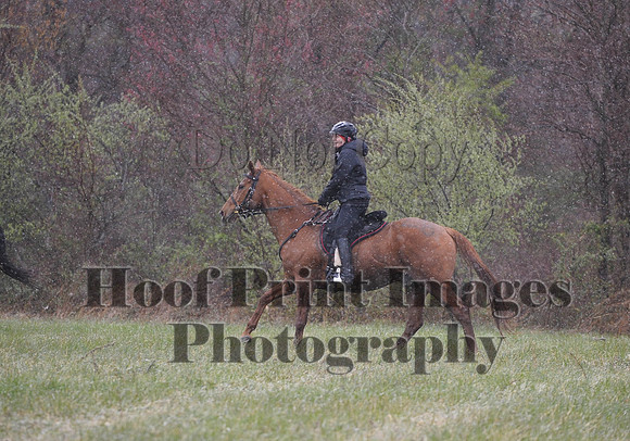 Foxcatcher(4-9-16)0925