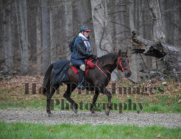 Foxcatcher(4-9-16)0435