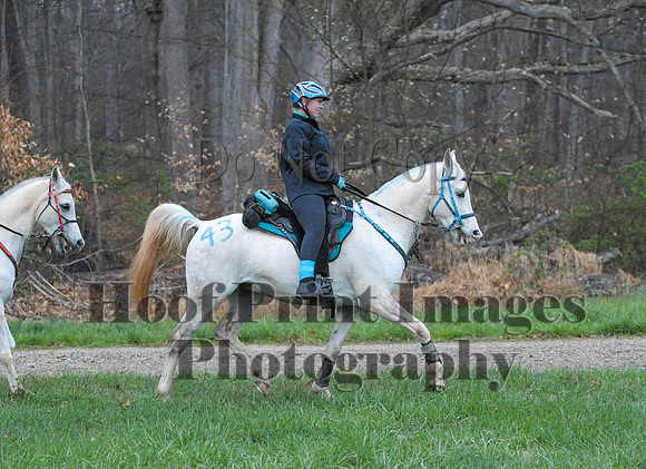 Foxcatcher(4-9-16)0102
