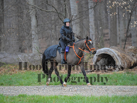 Foxcatcher(4-9-16)0275