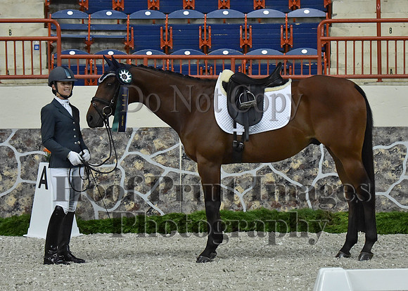 CWdressageII(8-21-16)1401