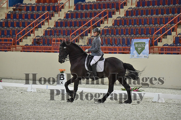CWdressageI(8-20-16)0930