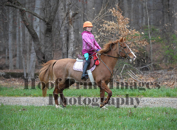 Foxcatcher(4-9-16)0340