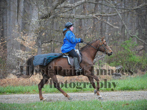 Foxcatcher(4-9-16)0261