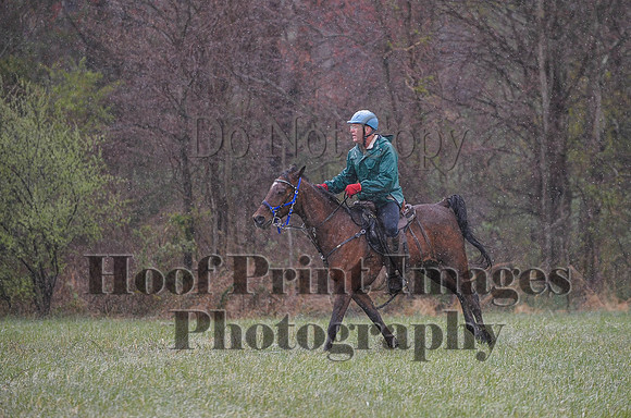 Foxcatcher(4-9-16)0906