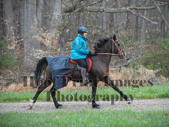 Foxcatcher(4-9-16)0268