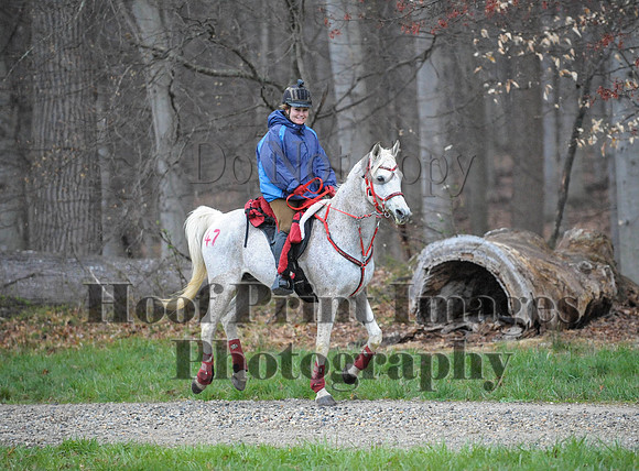 Foxcatcher(4-9-16)0145