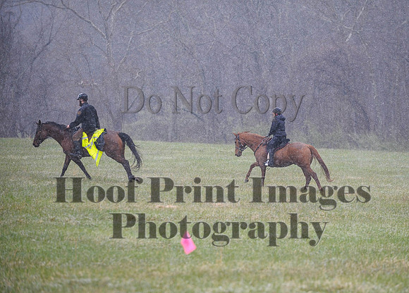 Foxcatcher(4-9-16)0932