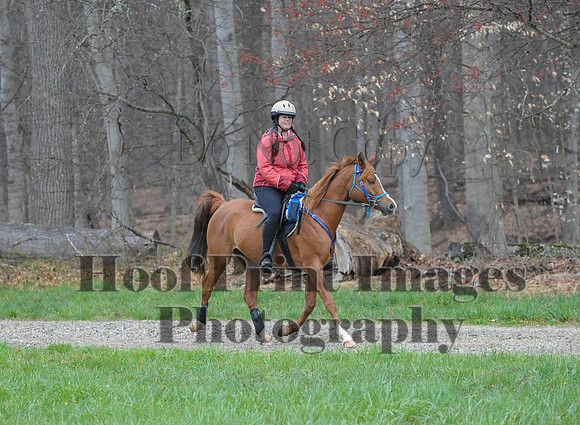 Foxcatcher(4-9-16)0225