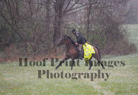 Foxcatcher(4-9-16)0918