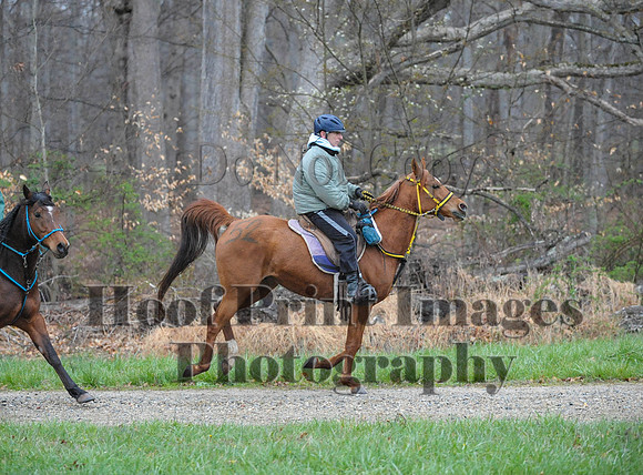 Foxcatcher(4-9-16)0220