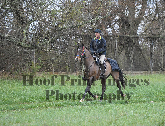 Foxcatcher(4-9-16)0544
