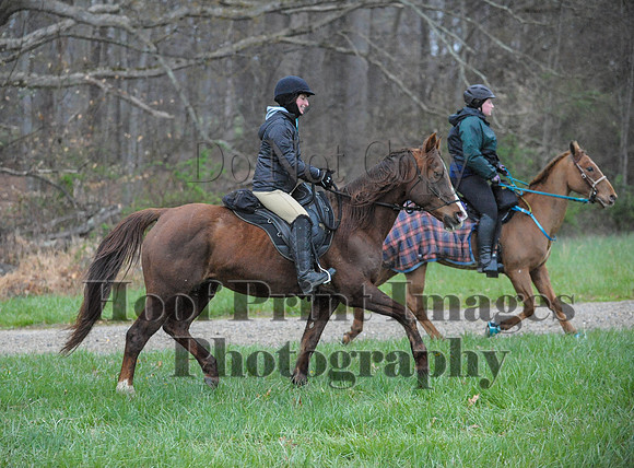 Foxcatcher(4-9-16)0090