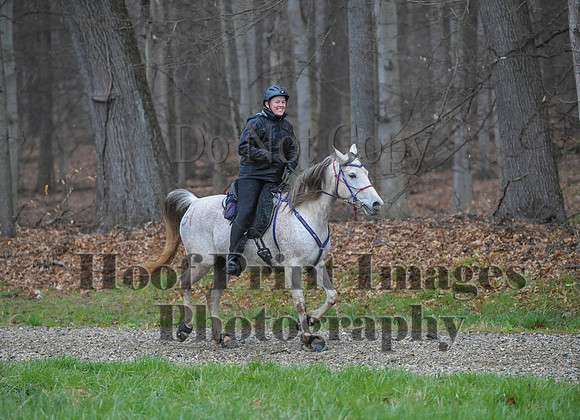 Foxcatcher(4-9-16)0485