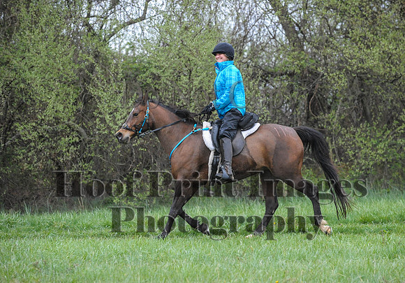 Foxcatcher(4-9-16)0538