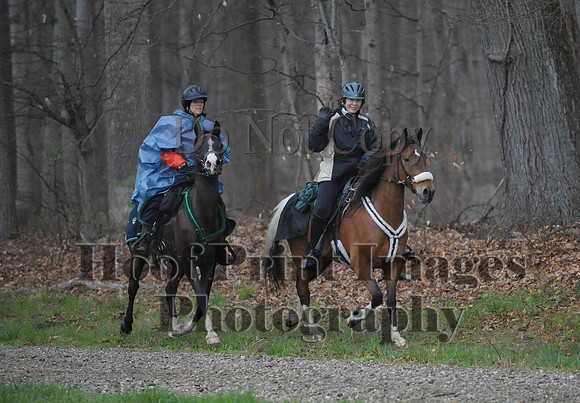 Foxcatcher(4-9-16)0501