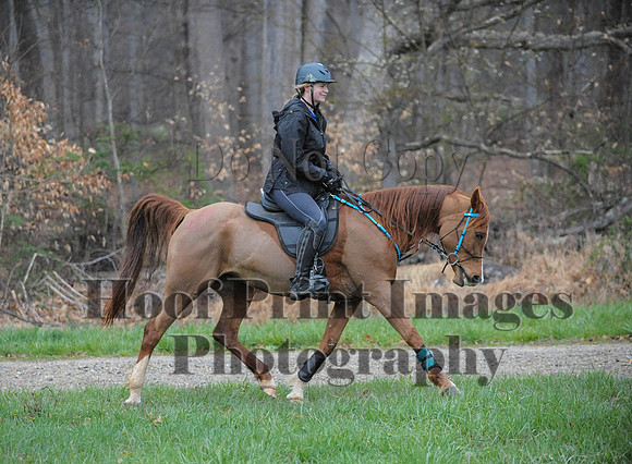 Foxcatcher(4-9-16)0076