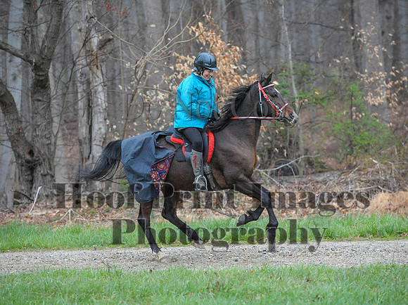 Foxcatcher(4-9-16)0267