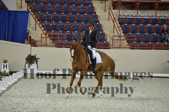 CWdressageI(8-20-16)0527