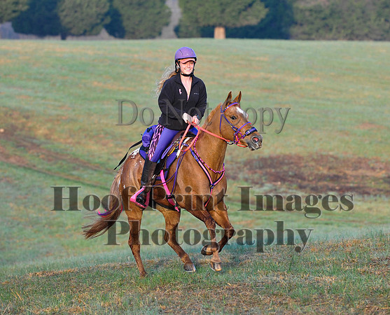 Foxcatcher(4-12-14)0321