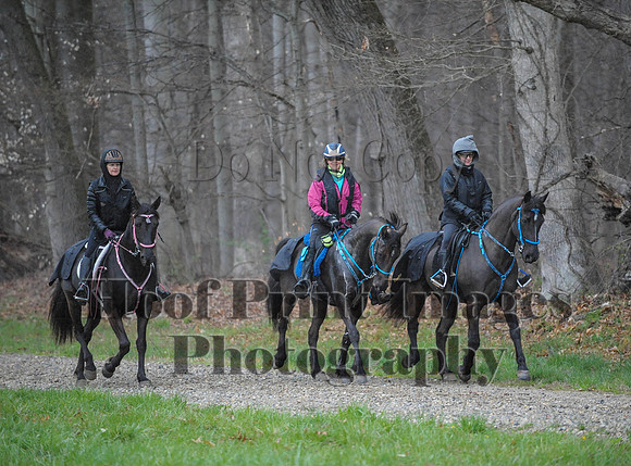 Foxcatcher(4-9-16)0361