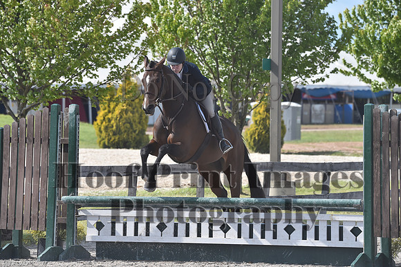 StCSun(5-15-16)PrAd0173