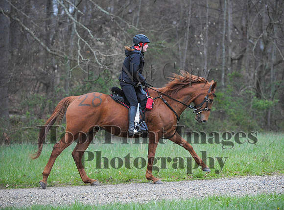 Foxcatcher(4-9-16)0047