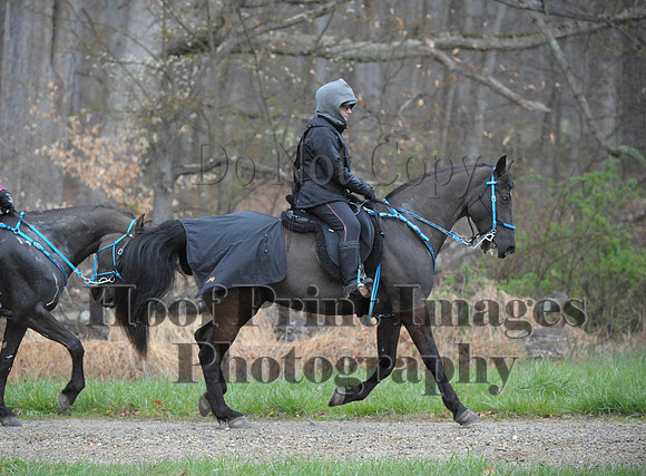 Foxcatcher(4-9-16)0371