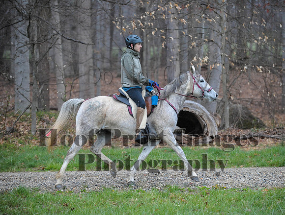 Foxcatcher(4-9-16)0465