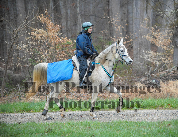 Foxcatcher(4-9-16)0189