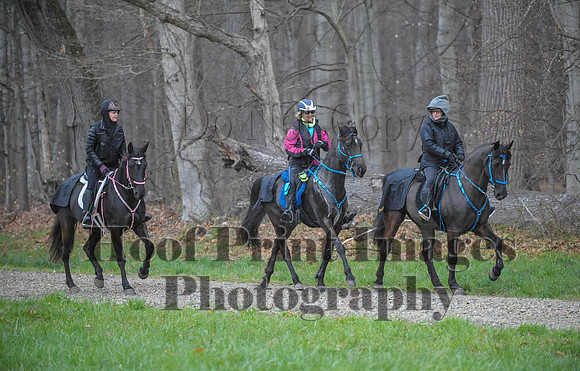 Foxcatcher(4-9-16)0363