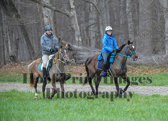 Foxcatcher(4-9-16)0311